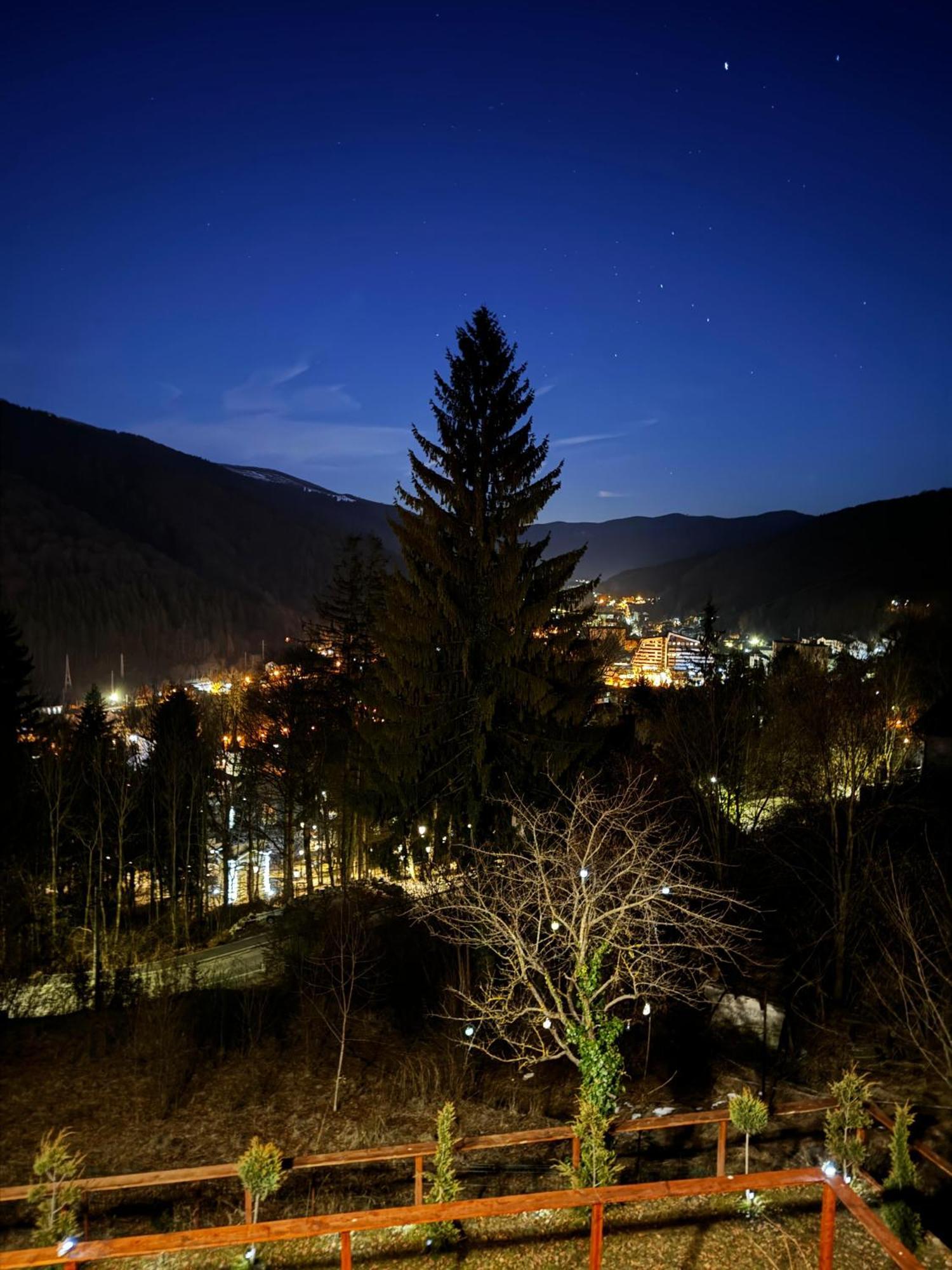 Stone House Sinaia Villa Exterior photo